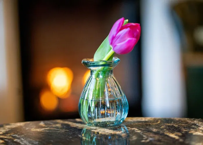 St George By Nina דבלין